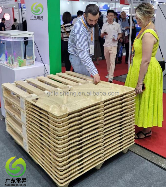 Výstavní expozice